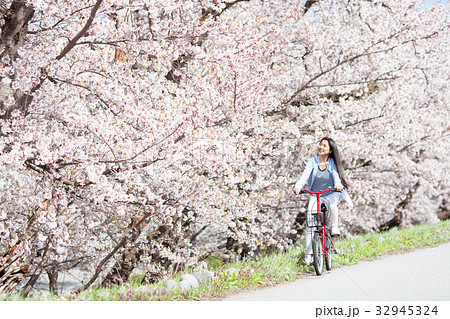 桜並木をサイクリングする女性 32945324