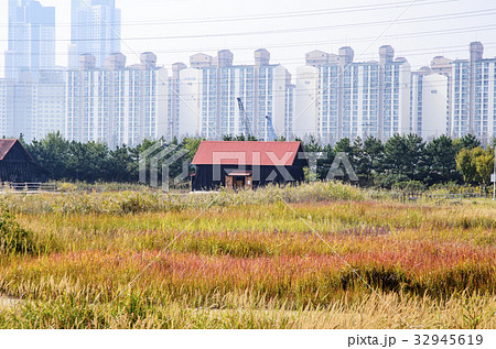 屋外 室外 自然 32945619