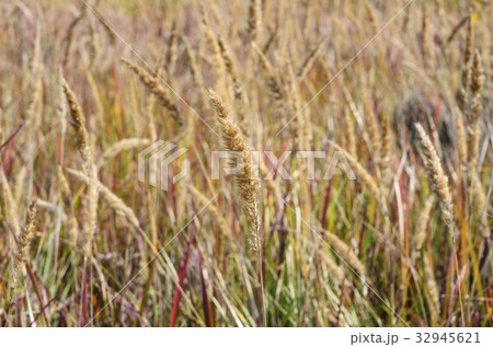 仁川 インチョン 韓国 32945621