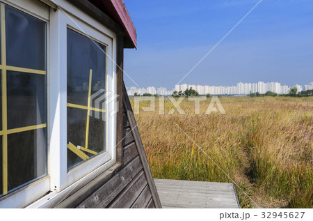 湿地 屋外 室外 32945627