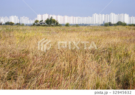 自然 南洞 仁川 32945632