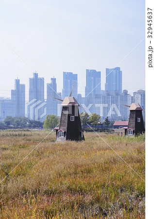 風景 植物 南洞 32945637