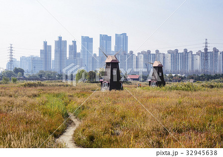 湿地 屋外 室外 32945638