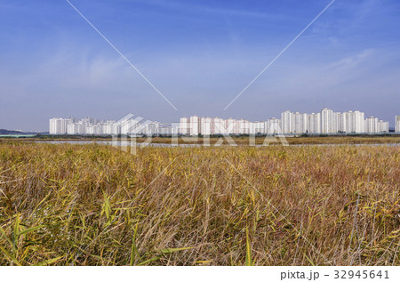 仁川 インチョン 韓国 32945641