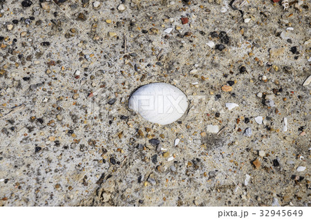 塩田 自然 風景 32945649