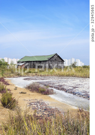 屋外 室外 南洞 32945665