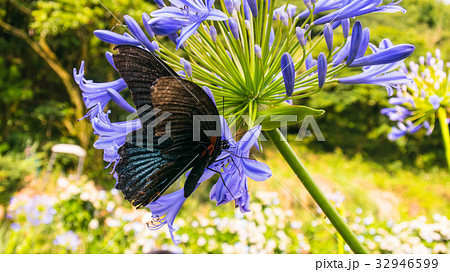 台湾 台北 台北市 32946599