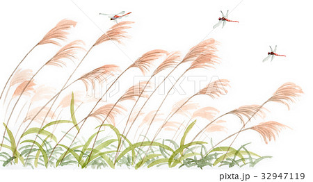 すすき野原と赤とんぼ すすき野原と赤とんぼ 32947119