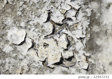 湿地 塩田 割れ 32947233