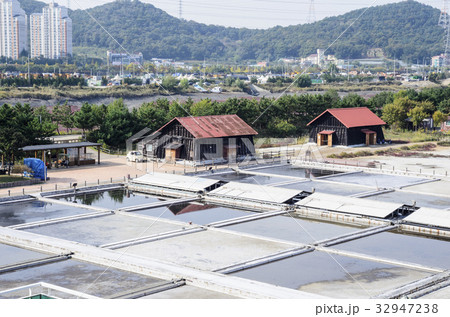 湿地 屋外 室外 32947238