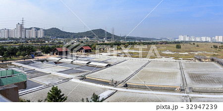 湿地 屋外 室外 32947239