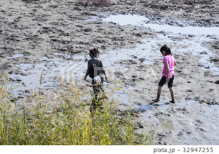 湿地 塩田 風景 32947255