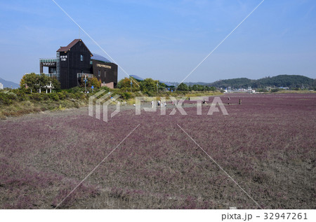 湿地 屋外 室外 32947261