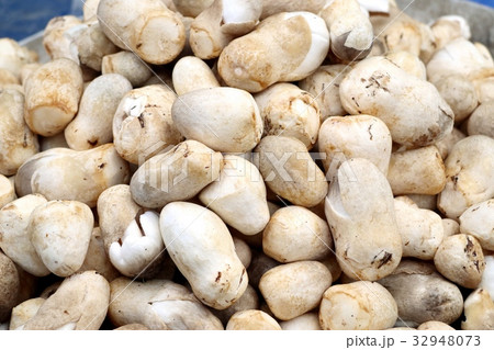 mushroom at street food 32948073