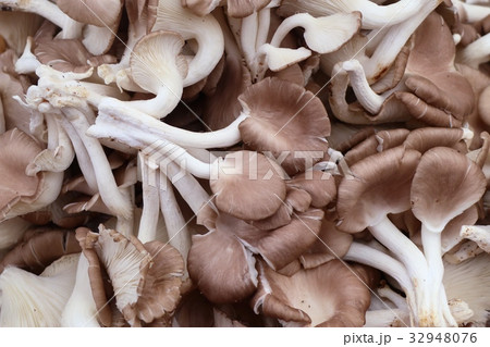 mushroom at street food 32948076