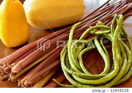 夏の野菜 夏の野菜 32948528