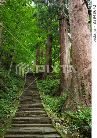 羽黒山杉並木 32948642