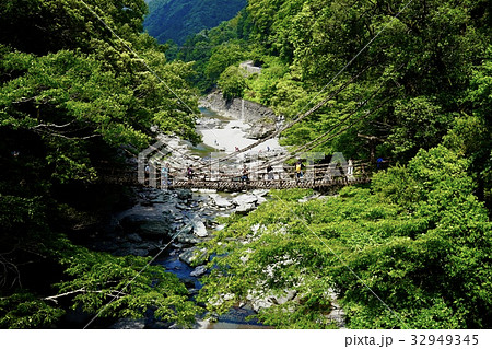 かずら橋 かずら橋 32949345