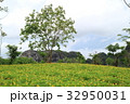 チャンアン複合景観区 32950031