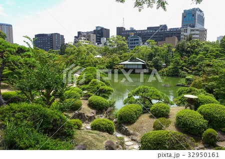 都会の中のオアシス 32950161