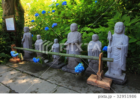 明月院の紫陽花地蔵 32951986