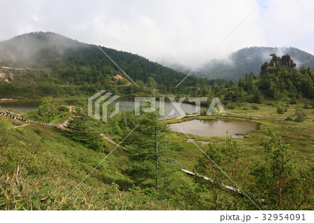 白根山弓池 32954091