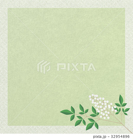 南天_正方形b 32954896