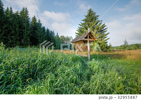 Feeder for roe deer, wild boar, wild animals Feeder for roe deer, wild boar, wild animals 32955887
