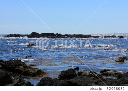 ゴツゴツした岩肌が多い城ケ島 ゴツゴツした岩肌が多い城ケ島 32958082