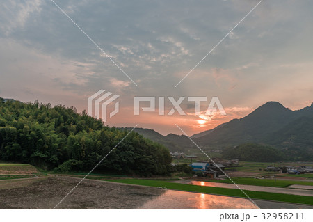 善通寺市の水田と夕焼け 32958211