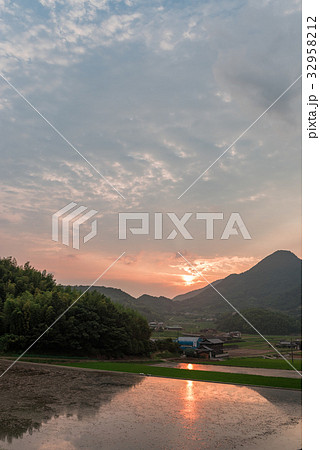 善通寺市の水田と夕焼け 32958212