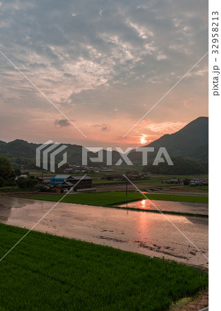 善通寺市の水田と夕焼け 32958213