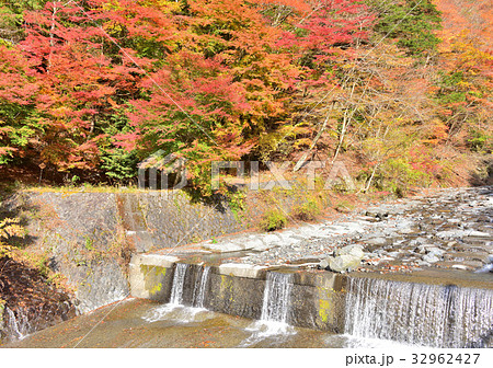 梅ヶ島温泉の紅葉-27989 梅ヶ島温泉の紅葉-27989 32962427