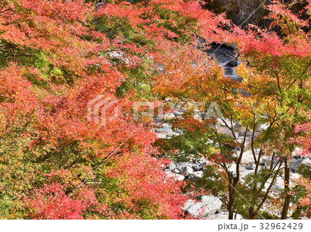 梅ヶ島温泉の紅葉 の写真素材