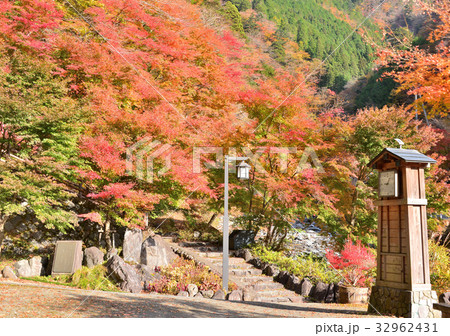 梅ヶ島温泉の紅葉-27993 32962431