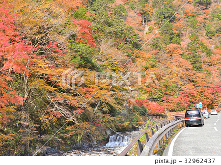梅ヶ島温泉の紅葉-27996 梅ヶ島温泉の紅葉-27996 32962437
