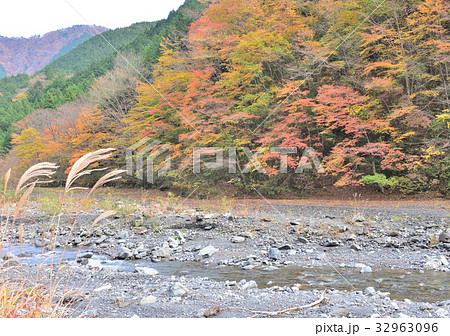 梅ヶ島の紅葉-37040 梅ヶ島の紅葉-37040 32963096