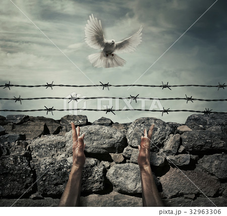 need forgiveness need forgiveness 32963306