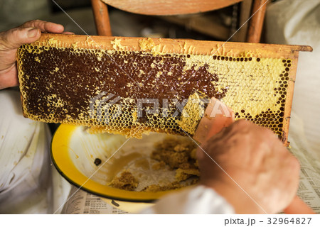 Beekeeper prepares honeycomb to extracting honey 32964827