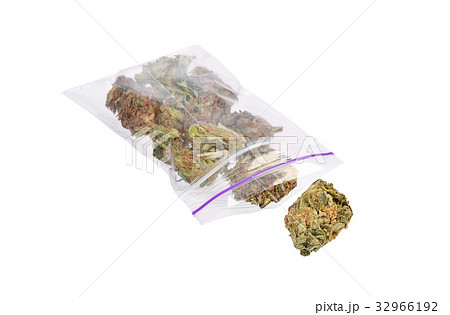 Close up of marijuana plant Close up of marijuana plant 32966192