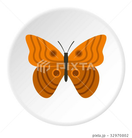 Butterfly with ornament icon circle Butterfly with ornament icon circle 32970802