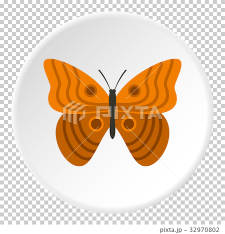 Butterfly with ornament icon circle Butterfly with ornament icon circle 32970802