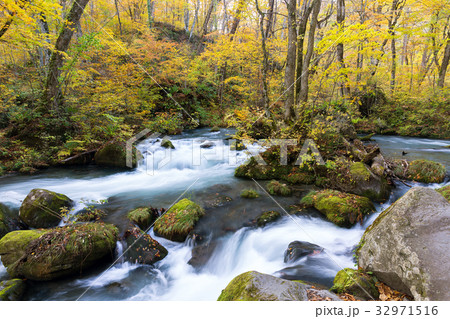 Oirase Stream in autumn 32971516