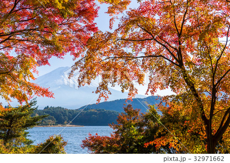 Lake Kawaguchi and Mount Fuji in Autumn season Lake Kawaguchi and Mount Fuji in Autumn season 32971662