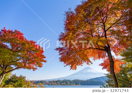 Fuji Autumn 32971743