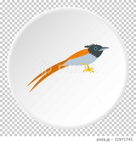 Terpsiphone paradisi icon circle Terpsiphone paradisi icon circle 32971745