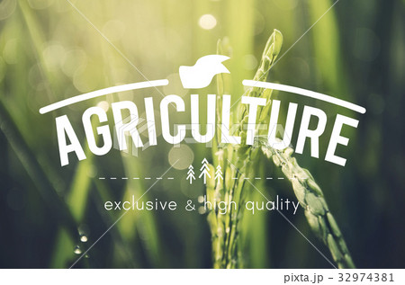 Alternative Farming Sustainable Nature Concept 32974381