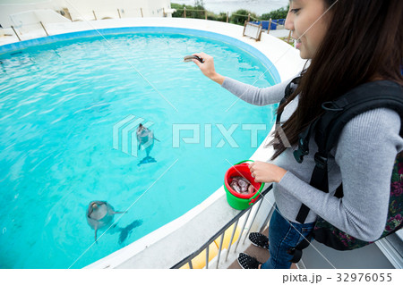 Woman feeding dolphin in aquarium 32976055