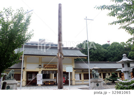 愛知県護国神社/愛知県名古屋市中区 愛知県護国神社/愛知県名古屋市中区 32981065