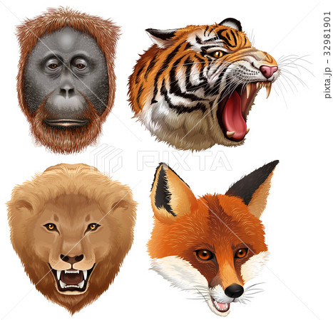 Four faces of wild animals 32981901